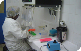 The laboratory research