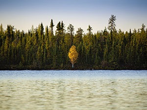 tb-sustainability-commitments