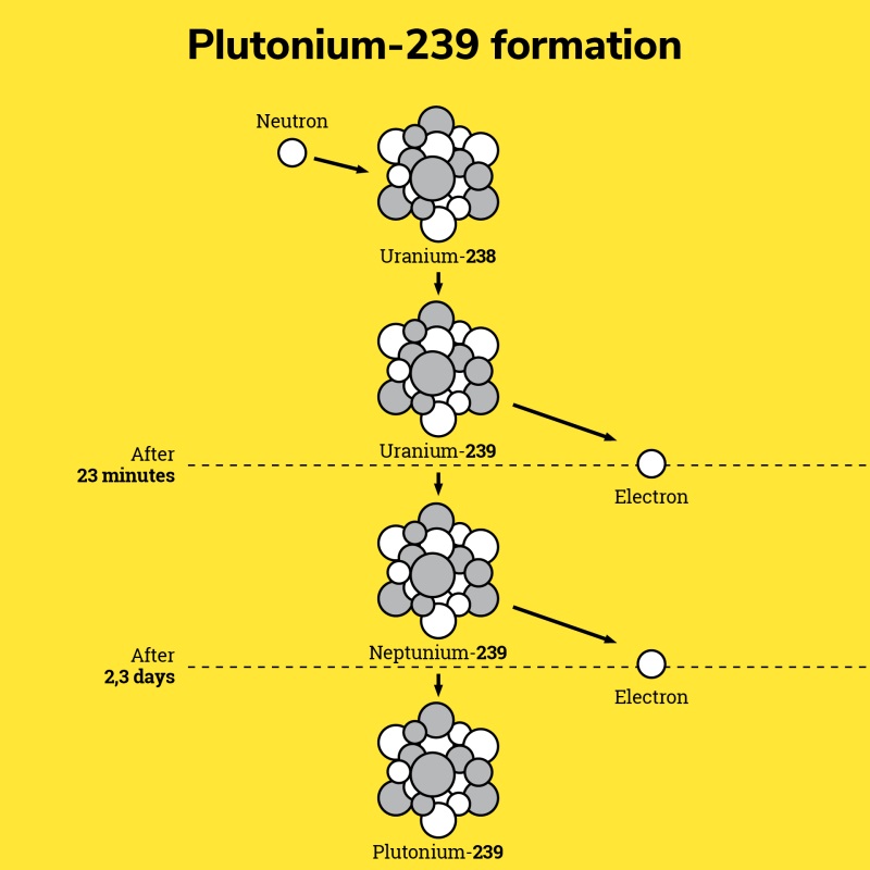 Formation du Plutonium 239